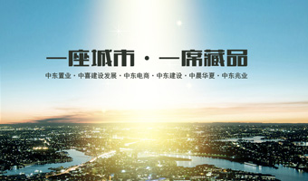 中東集團(tuán)網(wǎng)站建設(shè)項目