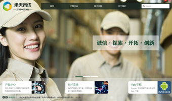 承天示優(yōu)網(wǎng)站建設(shè)項目